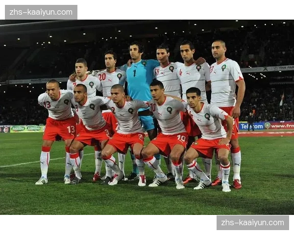 瑞典突尼斯北欧纪律性 伊布接班人领衔面临北非技术流冲击